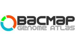 Bacmap